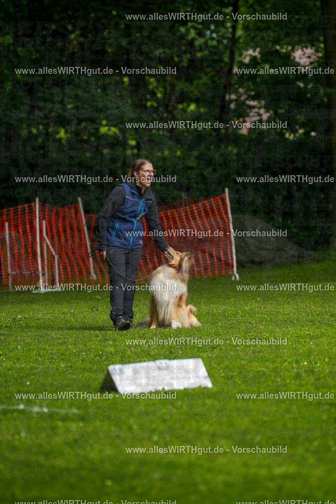 @allesWIRTHgut_Tierfotografie - www.allesWIRTHgut.de - 7R502944 | Professionelle Tierfotografie in Mönchengladbach von Daniel Wirth (allesWIRTHgut). Liebevolle & natürliche Bilder von Hunden & Katzen für unvergessliche Erinnerungen.