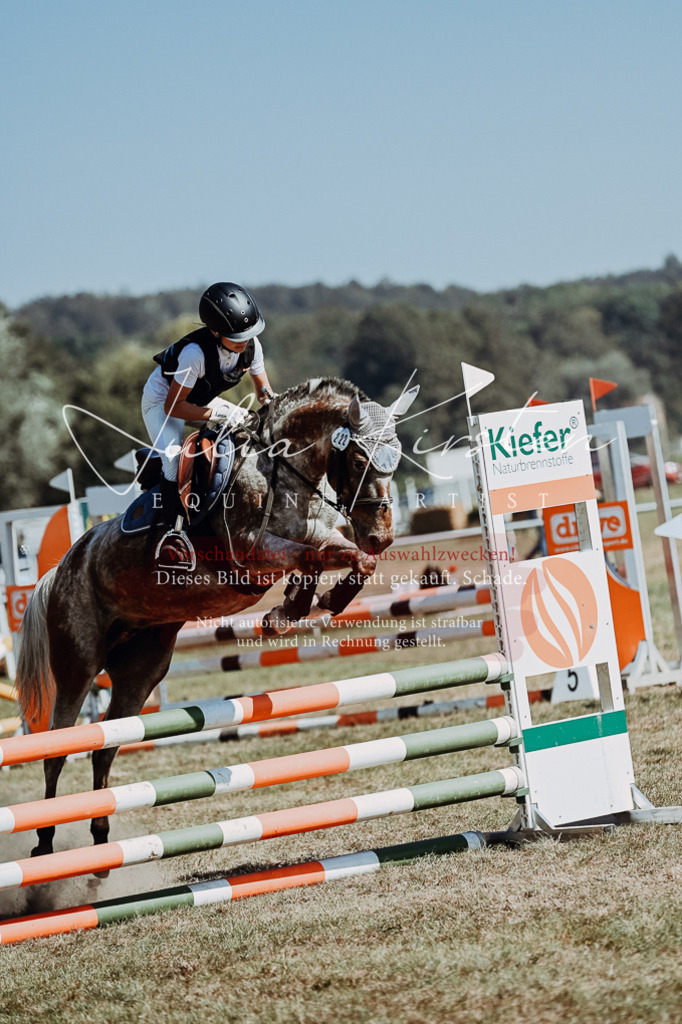 DSC_9755 | Pferde- und Turnierfotografie in Westsachsen. Pferdeportraits, Auftragszeichnungen und intuitive Kunst.