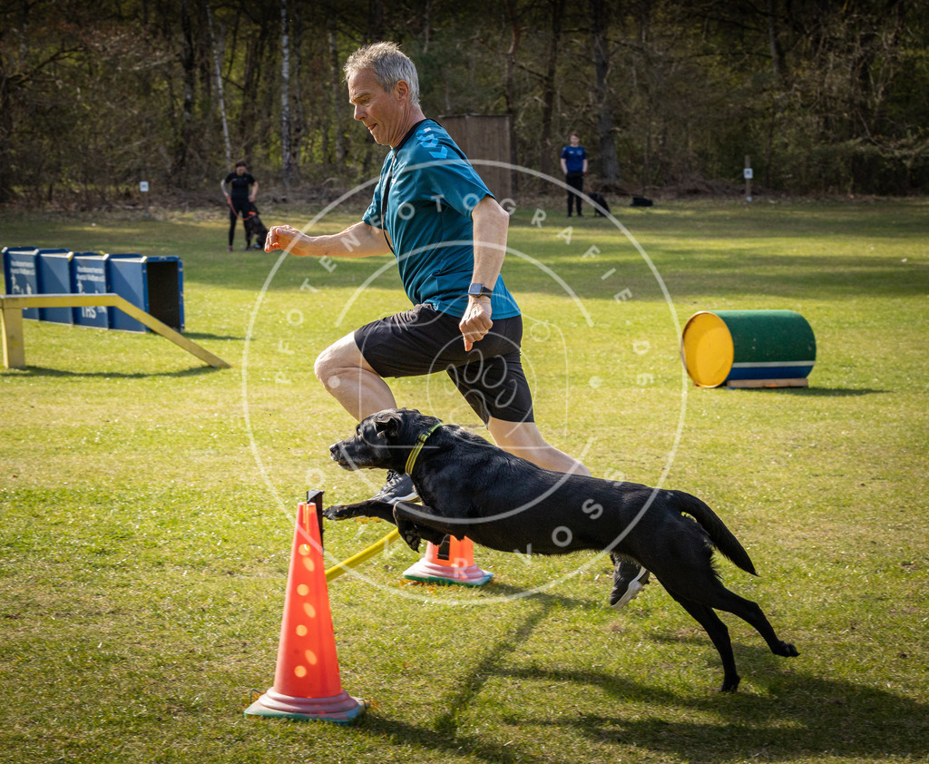 Pfotenfotografie_DV3A2850 | Hundefotografie, Tierfotograf, Pfotenfotografie, Fotoshooting Hund, Hunde Portrait, Hundesport, Hundeportraits, Heideshooting, Hunde, Sportfotograf, Hundefotograf, Turnierhundsport, THS,  - Realisiert mit Pictrs.com