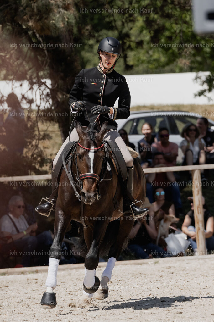 WE_SP_Stoib_330_PI2025_2002 | Pferd International München 2025