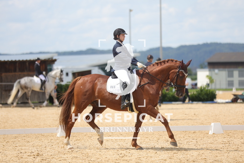 0P6A2338 | Willkommen bei Brunnmayr - Design & Fotografie – Ihrem Spezialisten für Reitturniere und Pferdeveranstaltungen in Oberösterreich, Salzburg und Bayern! Seit über 17 Jahren sind wir leidenschaftlich dabei.