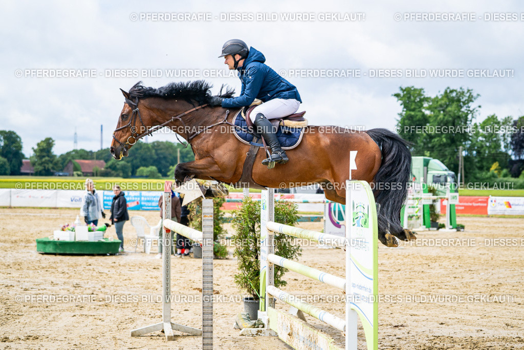 DSC04046 | Pferdegrafie