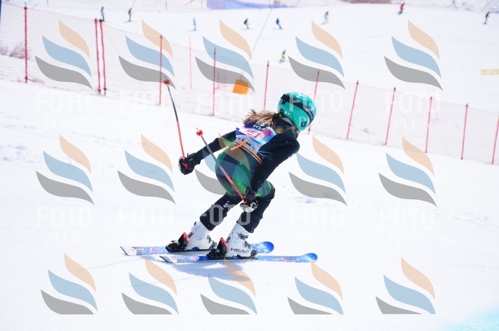 DSC_5287 | holidayphoto