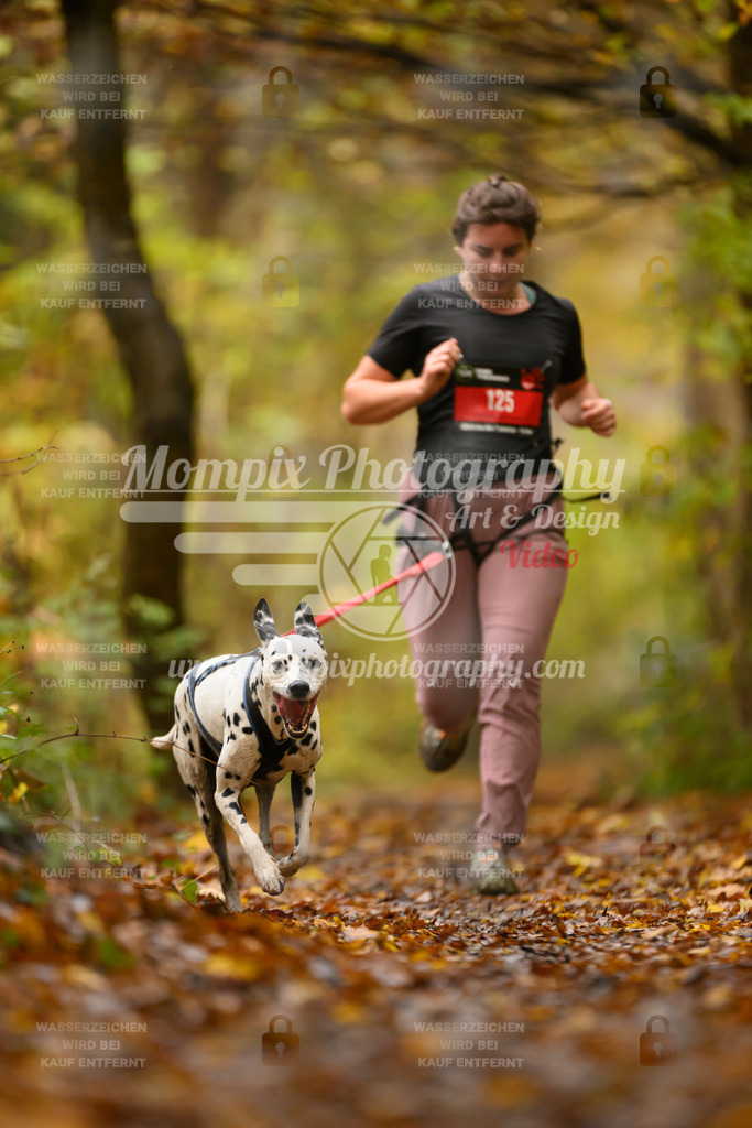 MompixPhotography_CD7S_DI_CCL-86 | mompixphotography