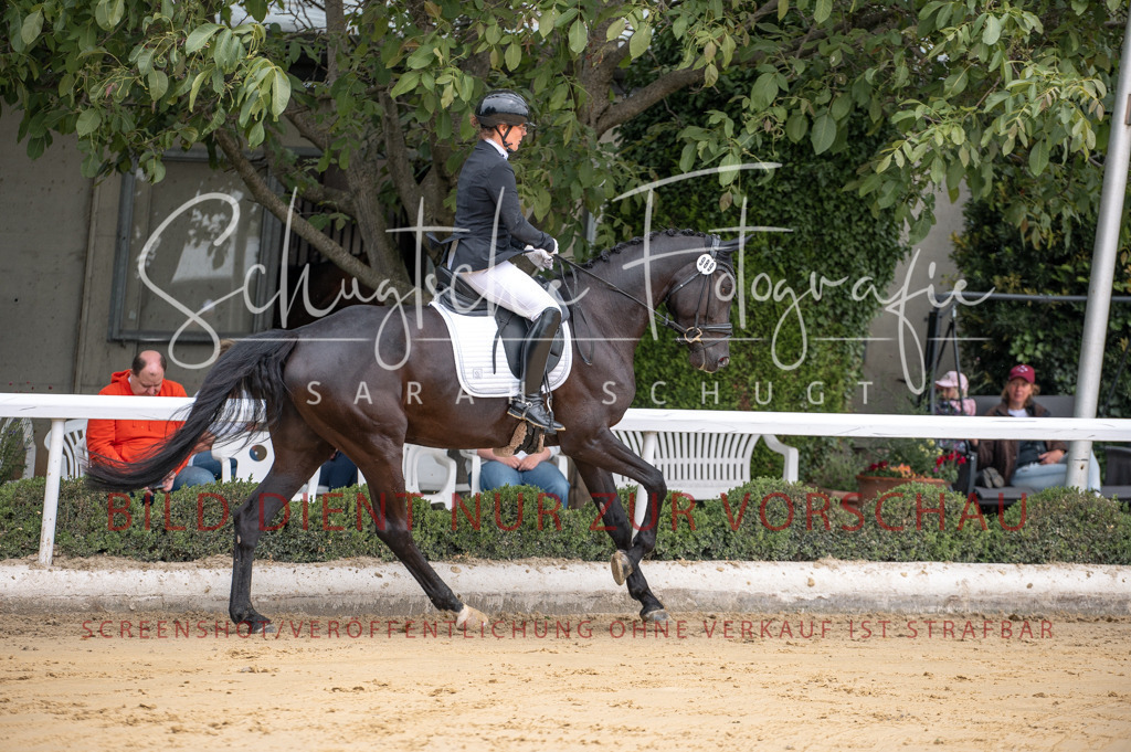 Schugtsche-Aluta25-41.Amat-Dressurprf.A_-41 | Schugtsche Fotografie - Realisiert mit Pictrs.com