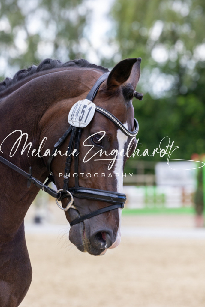 7I8A4459 | melanie-engelhardt-photography - Realisiert mit Pictrs.com