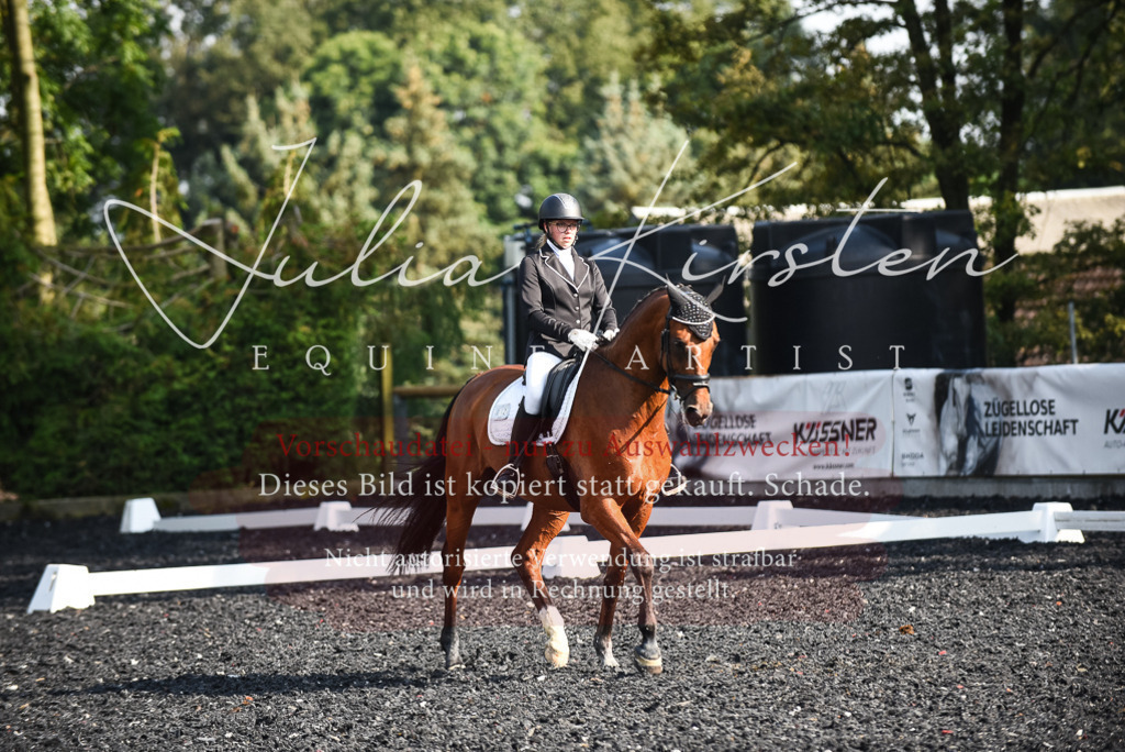 DSC_3149 | Pferde- und Turnierfotografie in Westsachsen. Pferdeportraits, Auftragszeichnungen und intuitive Kunst.