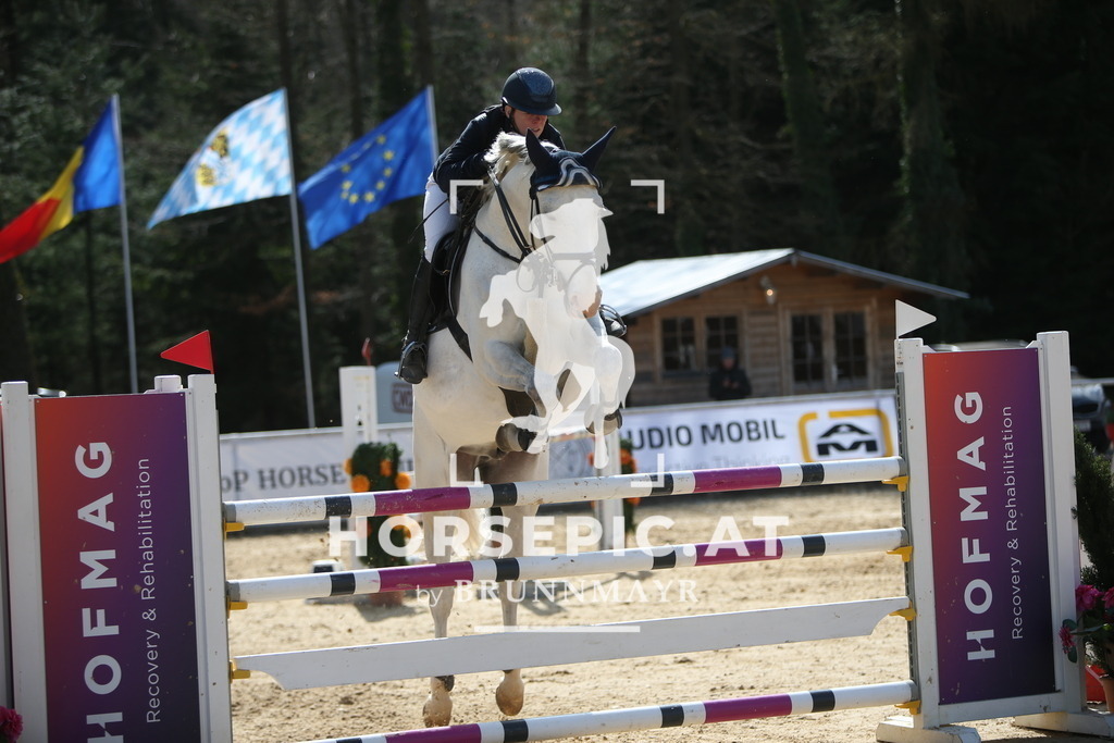 AS8V7918 | Willkommen bei Brunnmayr - Design & Fotografie – Ihrem Spezialisten für Reitturniere und Pferdeveranstaltungen in Oberösterreich, Salzburg und Bayern! Seit über 17 Jahren sind wir leidenschaftlich dabei.