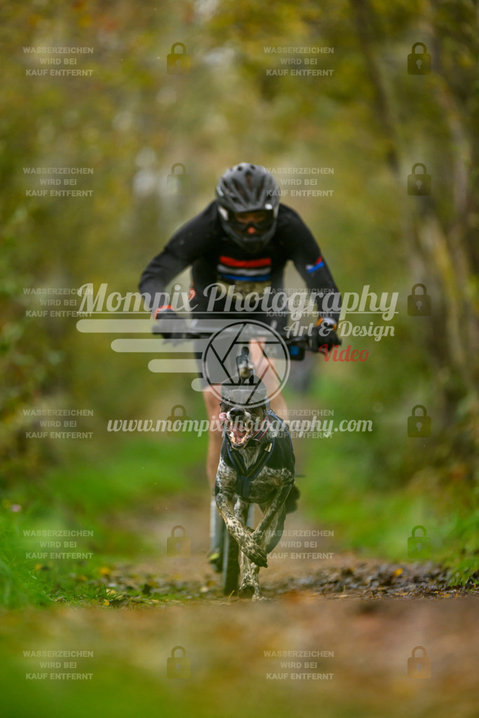 MompixPhotography_20TSB_E6_DS1-17 | PayLife