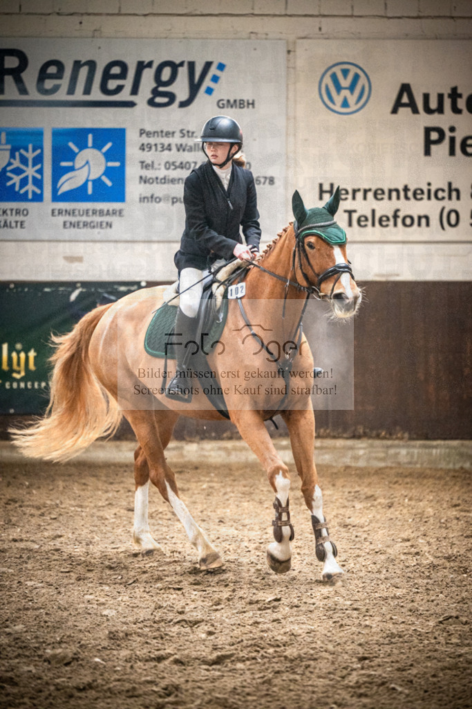 DOS_0340 | Entdecke hochwertige Reitturnierfotos von Foto Oger. Professionell, emotional und authentisch – jetzt Lieblingsmomente im Shop bestellen.Deutschlandweite Turnierfotografie. - Realisiert mit Pictrs.com