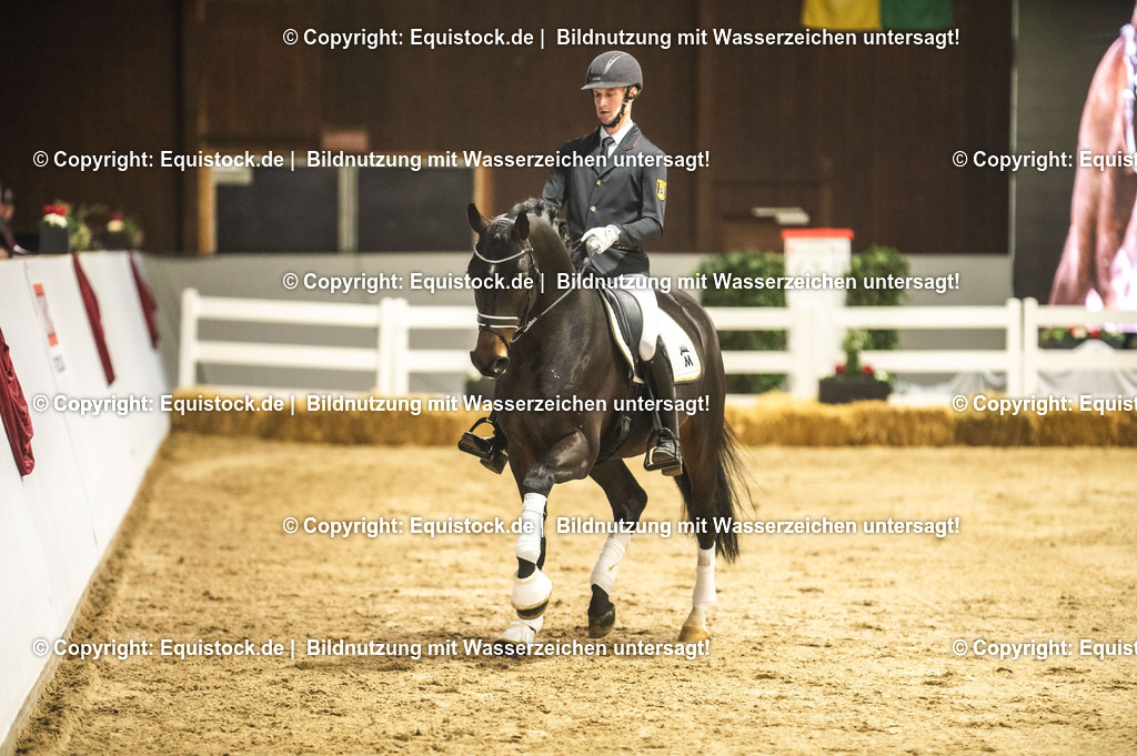 20240302_Hengstvorstellung_Marbach_TOMsPiC_0403 | equistock