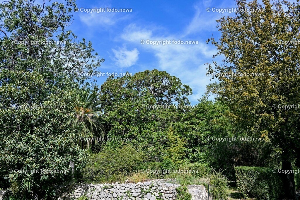 Arboretum von Trsteno_ Kroatien_ 11.10.2023-42 | 11.10.2023, Kroatien, HRV, Trsteno im Bild Arboretum, Trsteno, Hafen, Pflanzen, Brunnen, Neptunbrunnen, Wege, Palmen, Eukalyptus, Lorbeer, Kakteen, Zitrus, Oliven, Filmkulisse Game of Thrones

Das Arboretum von Trsteno befindet sich etwa 18 Kilometer nordwestlich der Stadt Dubrovnik im Sueden Kroatiens. Als einziges Arboretum an der oestlichen Adria-Kueste stellt es die aelteste Sammlung exotischer Baeume und Pflanzen des Landes dar.
Die Gartenanlage befindet sich entlang der Kuestenstraße zwischen den Ortschaften Orašac und Slano.
Quelle: Wikipedia