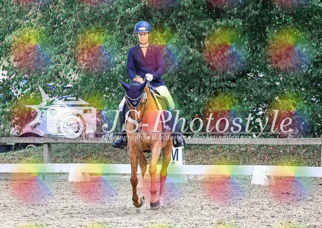 20250726_Dressurreiterprfg_Kl.L-335 | JS-Photostyle - Sport-/Portrait- & Eventfotografie