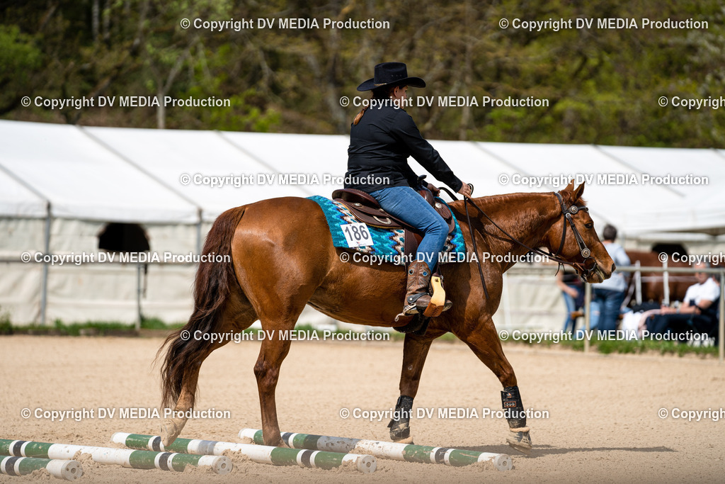 Heiligenwald Tag 2-491 | dv-media-shop - Realisiert mit Pictrs.com