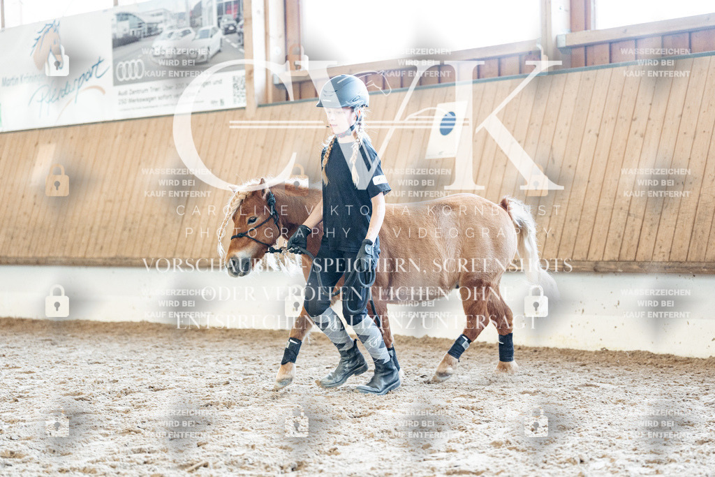 CK906990 | Turnierfotografie Pferdefotografie Trier Rheinland-Pfalz Pferdesport Reitsport Tierfotografie Sportfotografie Pferdevideo Pferdevideografie Equestrianvideography equestrianphotography  - Realisiert mit Pictrs.com