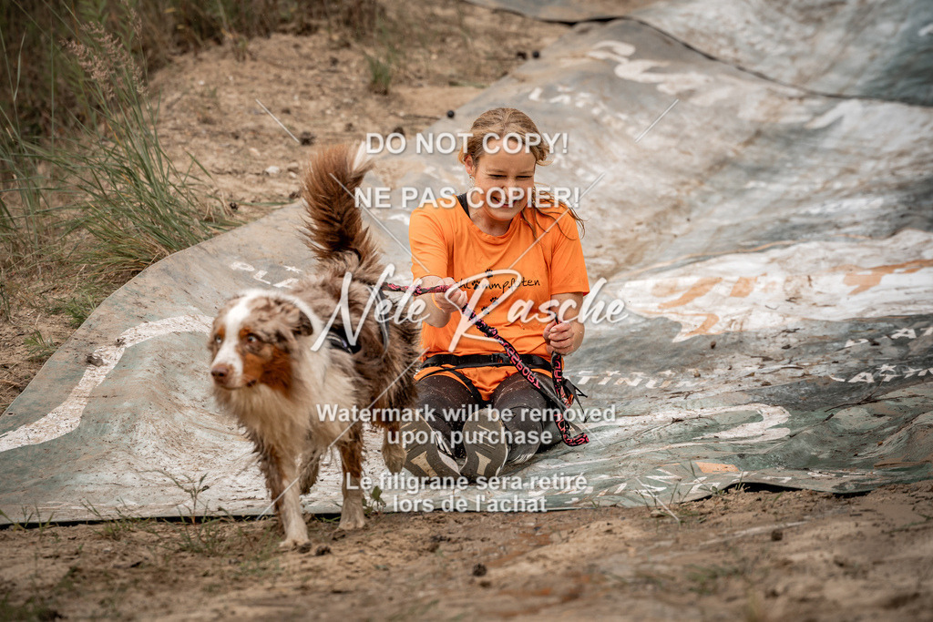 nelerasche_sa0800-1000_64 | nelerasche