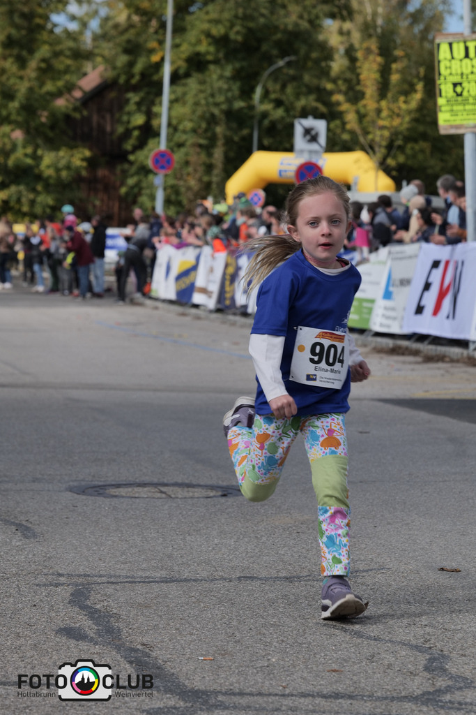 D (334) | Foto Buchgraber