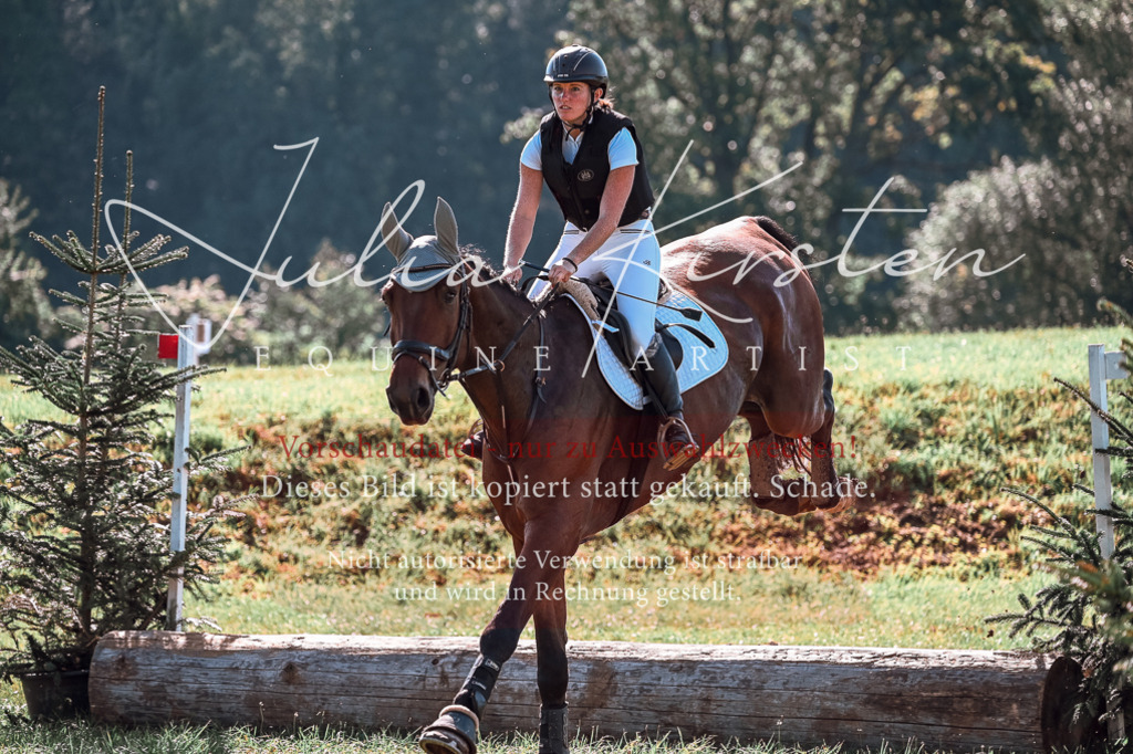 DSC_0985 | Pferde- und Turnierfotografie in Westsachsen. Pferdeportraits, Auftragszeichnungen und intuitive Kunst.