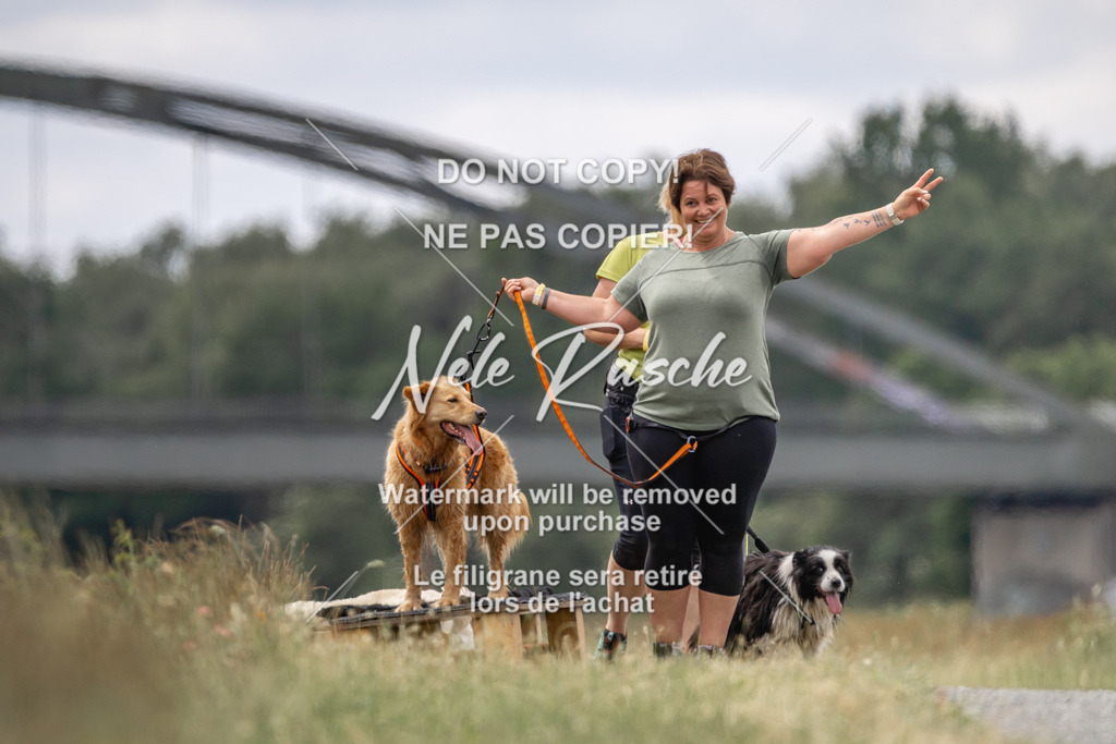 nelerasche_BuHu2026_SaCC1100-1200_247 | nelerasche
