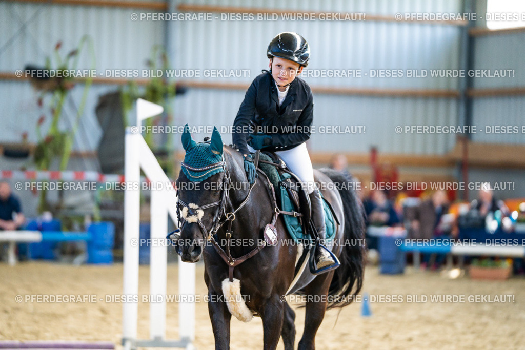 DSC01693 | Pferdegrafie