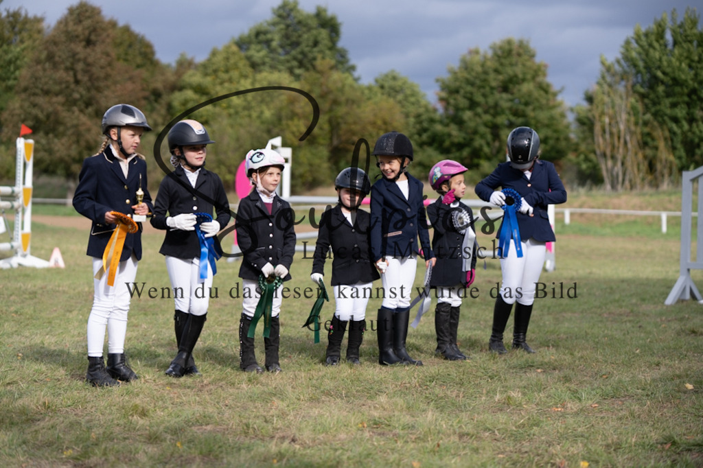 A7V07197 | Pferdefotograf