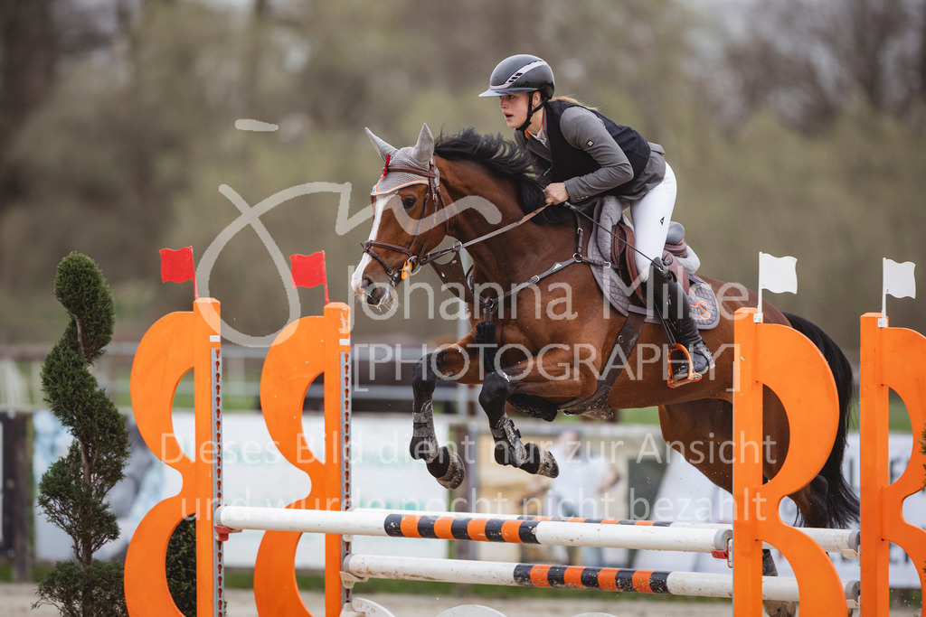 240330_Fruehlingsfest_Stil-A2-2-748 | Deine schönsten Turniermomente als professionelle Fotos! Entdecke hochwertige Pferdesport-Fotografie im Online-Shop. Jetzt Fotos finden & bestellen!