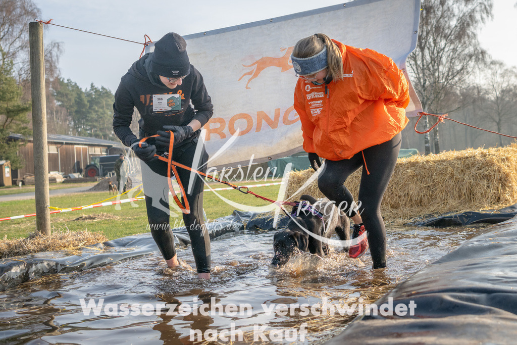 _ZZ91130 | kk-dogfotos