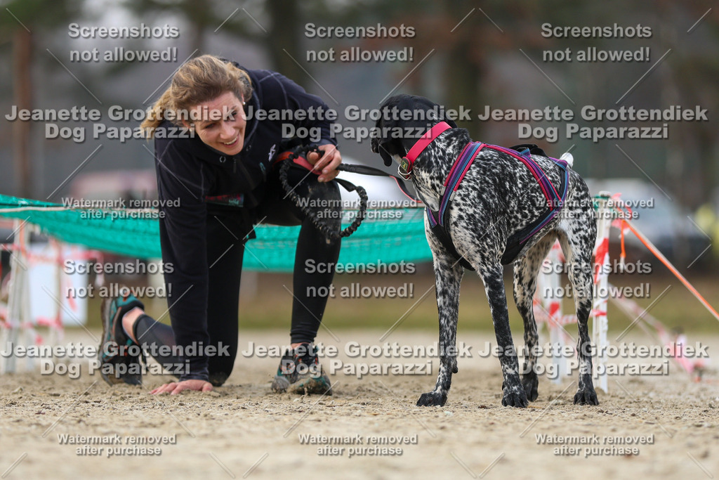 Dog Paparazzi - Strongdog North Mrz26-4482 | Dog Paparazzi Jeanette Grottendiek Fotografie & Videografie - Realisiert mit Pictrs.com