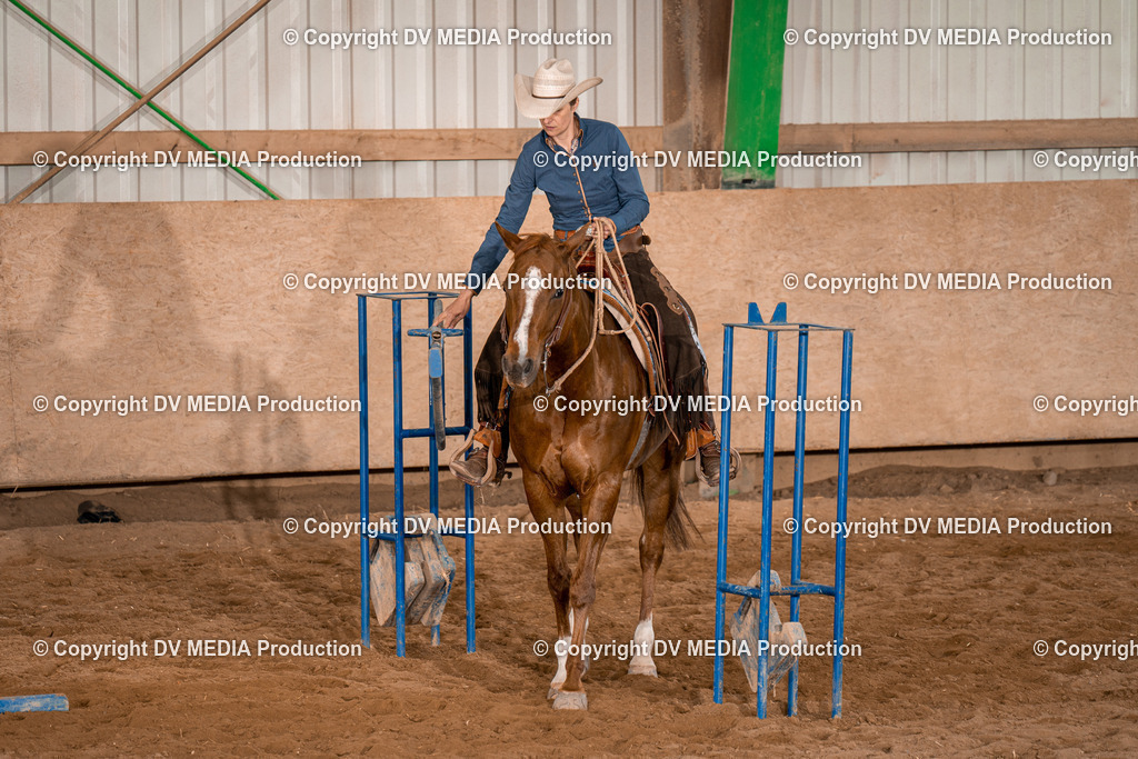 BA400825 | dv-media-shop - Realisiert mit Pictrs.com