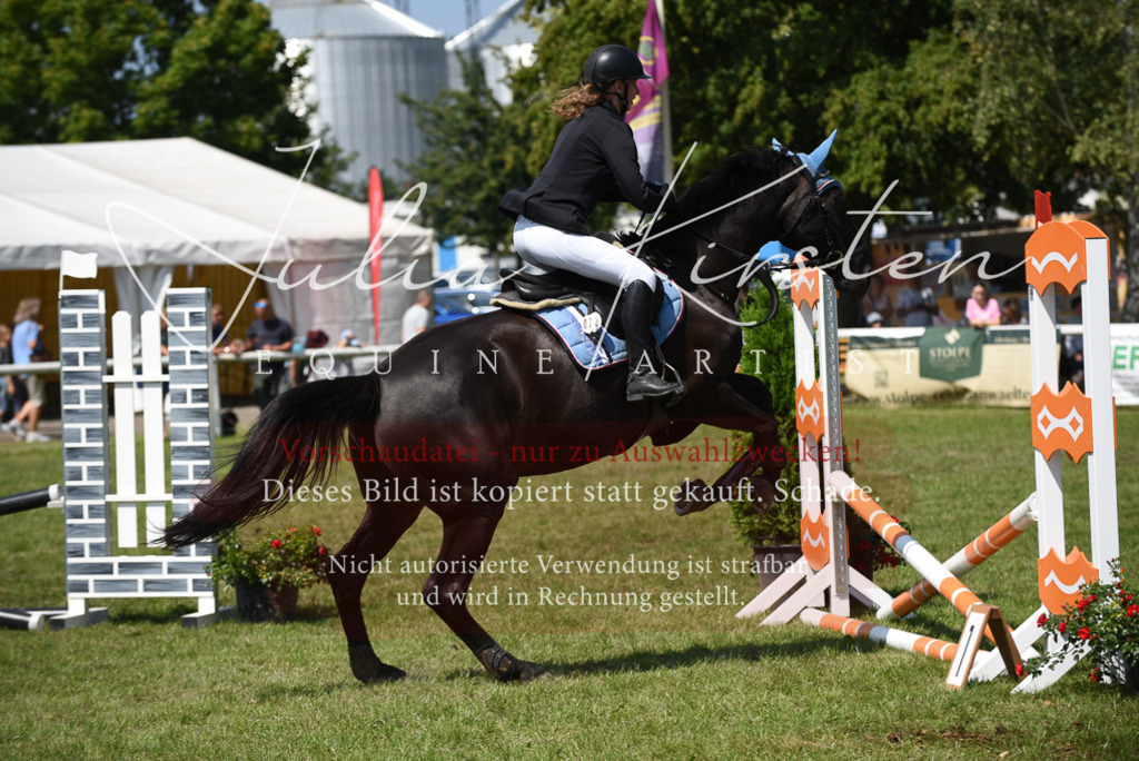 DSC_0036 | Pferde- und Turnierfotografie in Westsachsen. Pferdeportraits, Auftragszeichnungen und intuitive Kunst.