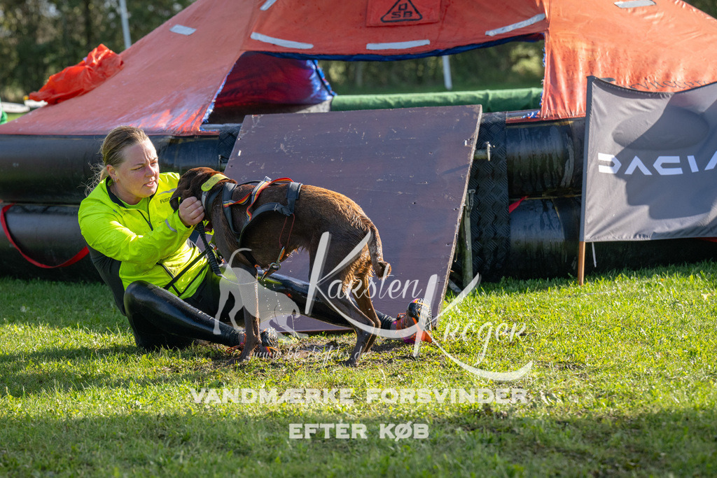 1157-92437 | kk-dogfotos