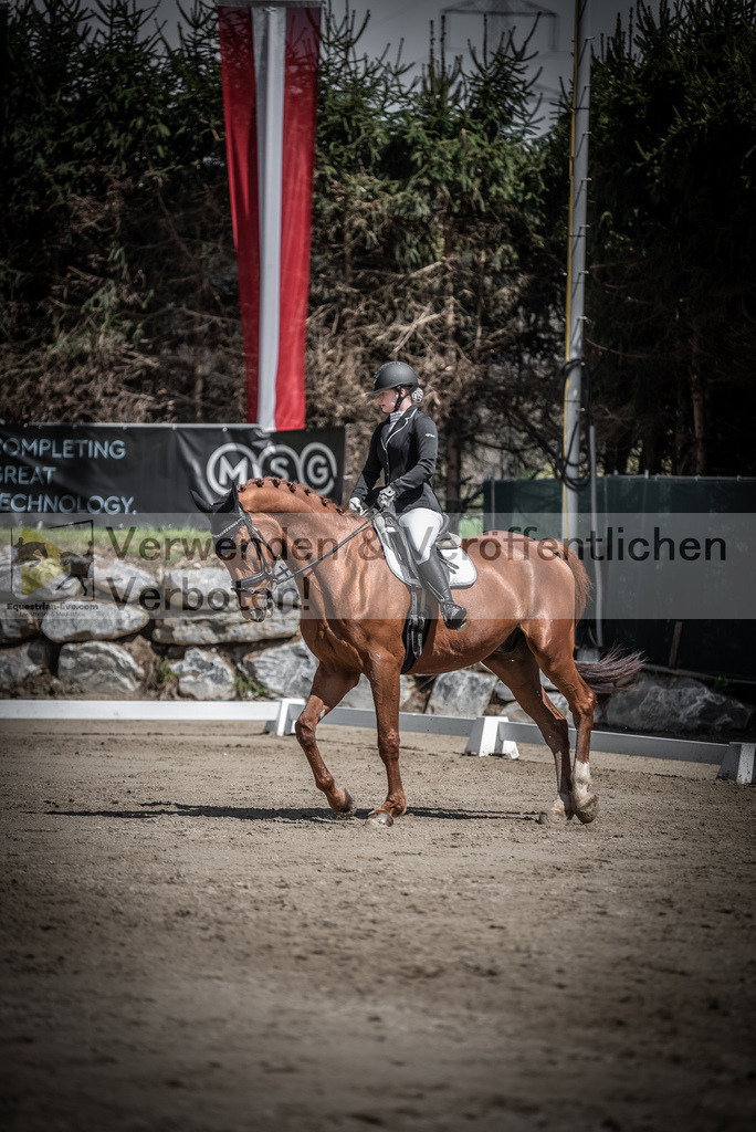 DSC_0731 | equestrian-live-com