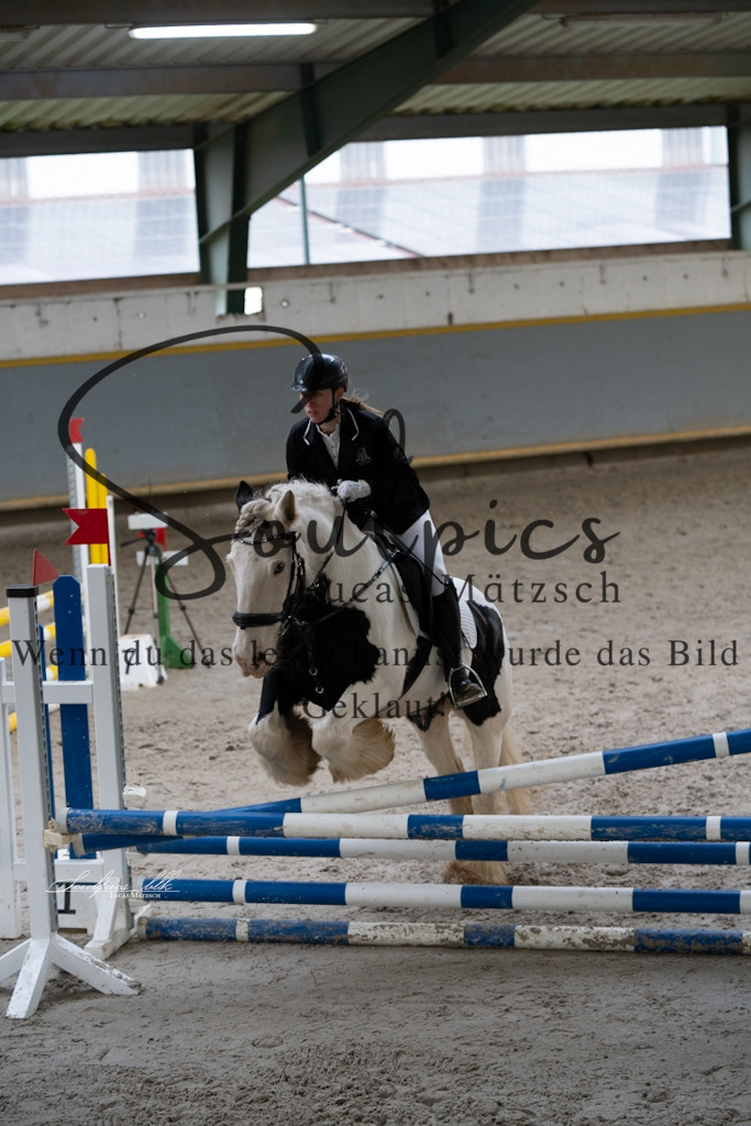 A7V01163 | Pferdefotograf