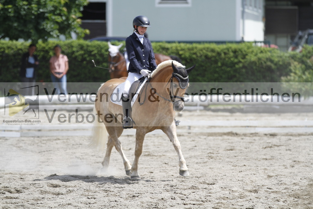 _MG_8549 | equestrian-live-com