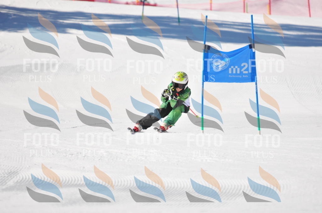 C3186 | holidayphoto