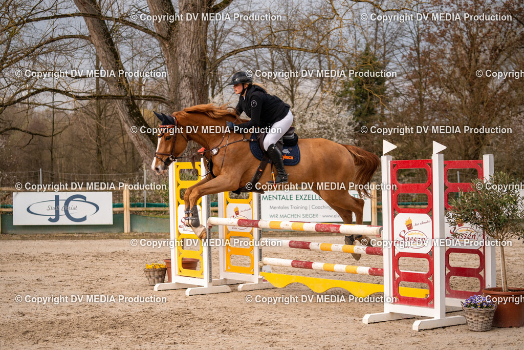 Kranichstein Tag 2-1284 | dv-media-shop - Realisiert mit Pictrs.com