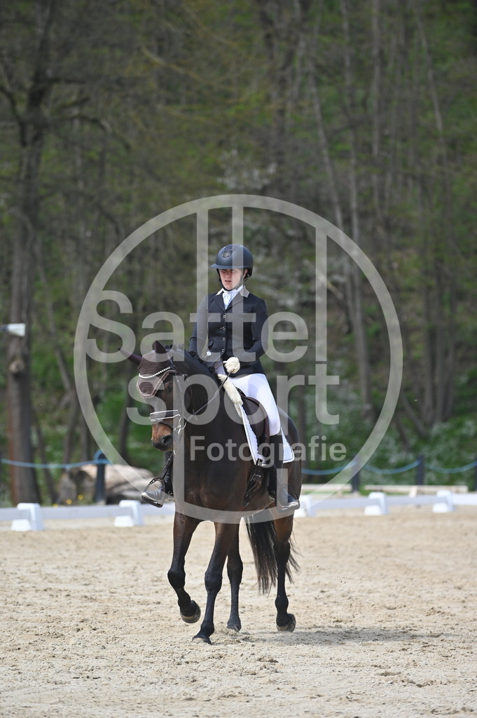 DSC_3087 | sattelsport - Realisiert mit Pictrs.com