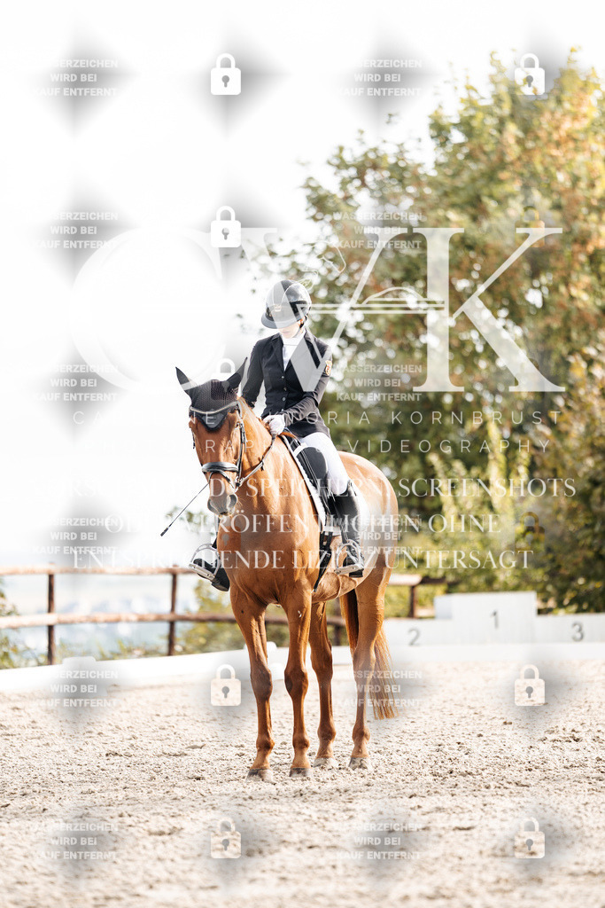CK900622 | Turnierfotografie Pferdefotografie Trier Rheinland-Pfalz Pferdesport Reitsport Tierfotografie Sportfotografie Pferdevideo Pferdevideografie Equestrianvideography equestrianphotography  - Realisiert mit Pictrs.com