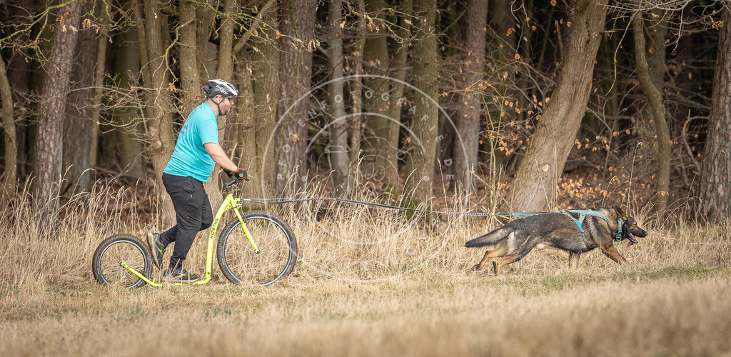 DV3A4866 | Hundefotografie, Tierfotograf, Pfotenfotografie, Fotoshooting Hund, Hunde Portrait, Hundesport, Hundeportraits, Heideshooting, Hunde, Sportfotograf, Hundefotograf, Turnierhundsport, THS,  - Realisiert mit Pictrs.com