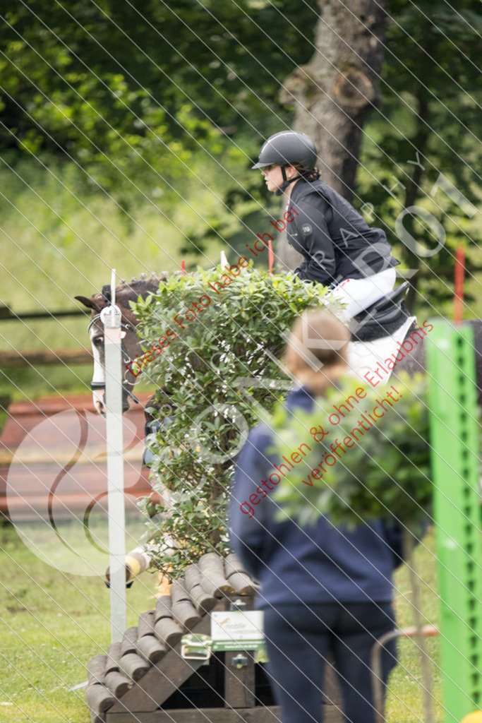 IMG_2743 | Sport-, Event- und Tierfotos in Profiqualität. Einfach auswählen, bestellen und herunterladen. Dein Moment – perfekt festgehalten.