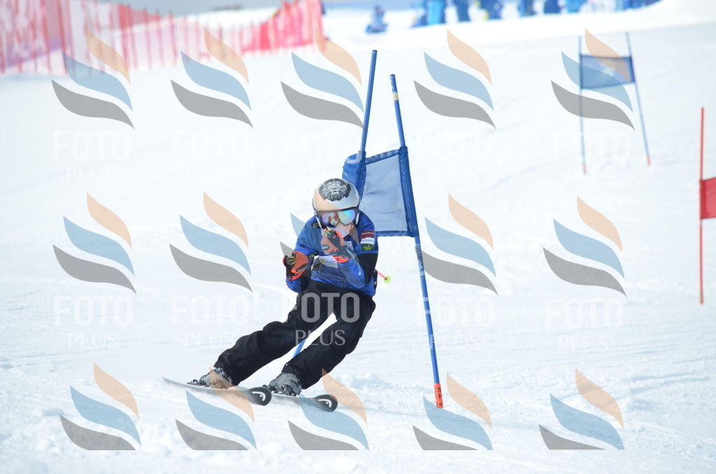 D8888 | holidayphoto