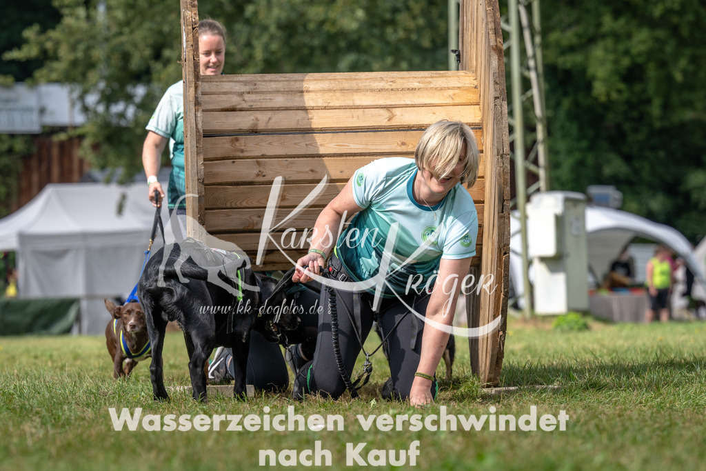 1211_ZZ92867 | kk-dogfotos