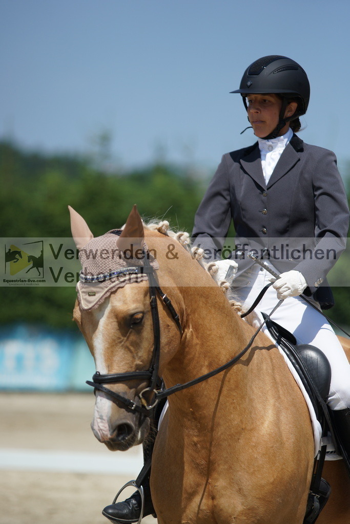 DSC01705 | equestrian-live-com