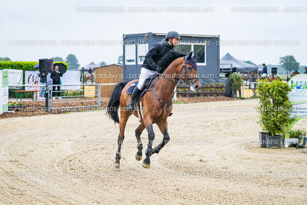 DSC09817 | Pferdegrafie