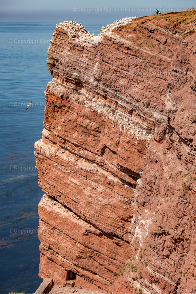 Helgoland Bastölpel_ELS_8108030818 | Helgoland - Aufnahmedatum: 03.08.2018, Aufnahmehöhe:  m, Koordinaten:  - , Bildgröße: 5192 x  7788 Pixel - Copyright 2018 by Martin Elsen, Kontakt: Tel.: +49 157 74581206, E-Mail: info@schoenes-foto.deSchlagwörter:Schleswig-Holstein,Landkreis Pinneberg,Düne,Hochseeinsel,Börteboote,Meer,Küste,Halunder,Oberland,Unterland,Strand,Seehunde,Robben,Lange Anna,Felsen,Roter Felsen,Luftbild,Luftbilder,Bastölpel - Realisiert mit Pictrs.com
