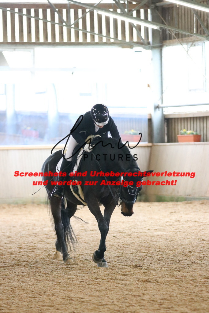 IMG_9806 | lmwpictures - Realisiert mit Pictrs.com