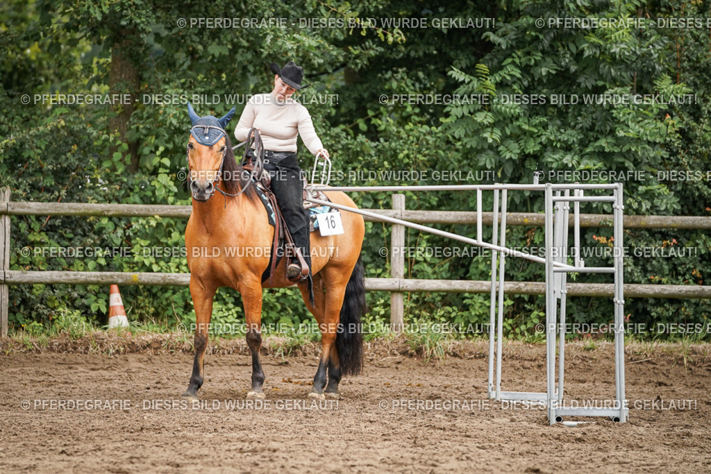 DSC04443 | Pferdegrafie