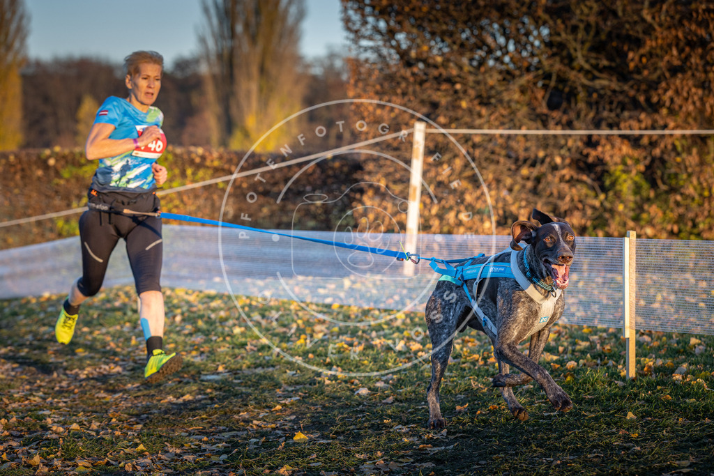 CaniXpix_DV3A5506 | Hundefotografie, Tierfotograf, Pfotenfotografie, Fotoshooting Hund, Hunde Portrait, Hundesport, Hundeportraits, Heideshooting, Hunde, Sportfotograf, Hundefotograf, Turnierhundsport, THS,  - Realisiert mit Pictrs.com
