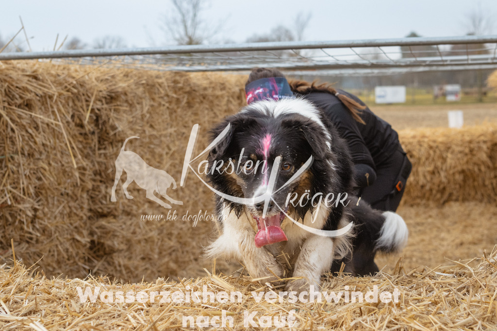 0838_ZZ93867 | kk-dogfotos