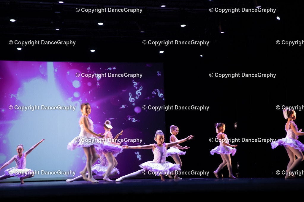 GPHY4828 | DanceGraphy - Realisiert mit Pictrs.com